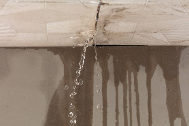 Professional Water Damage Repair technician working in Hialeah, FL